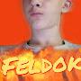 Feldok