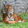 @maithilisubramaniam5040