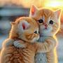 @gamil275
