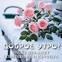 @ФаузияДильмухаметова-ь2с