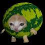 @Watermeloncat_yt