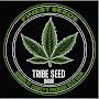 @divinetribe1