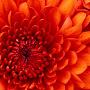 @rauljorge1969