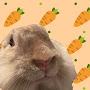 @TacoThatLittleMuffin_bunny