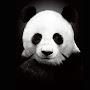 @yeffrya.heredia5254