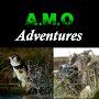 A.M.O. Adventures
