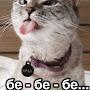 @АндрейБєндЄра