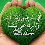 @hodamohmed546