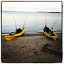 @northforkseaanddirtfishing5754
