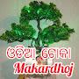 @OdiaTokaMakardhoj1995