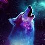 @GalaxyWolf402-j2z