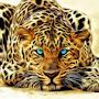 @cheetah_777