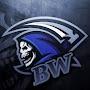 @bwgamer9545