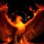 @mohammadrashidi8211