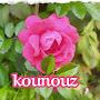 @kounouzam100k9