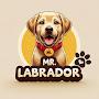 @mr.lovebrador
