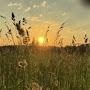 @Sunshine-1409