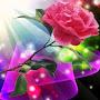 @samirpawar9824