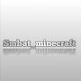 Smbat_minecraft