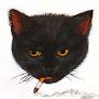 @luckycat3