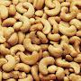 Cashews Inc.