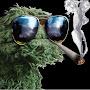 @NovemberOneOscarGrouch