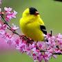 @thisisnature3110