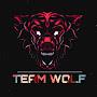 @WOLFSYshahram