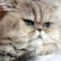 @lubateplinsky6857