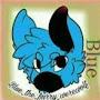 Blue the furry wolf