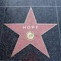 @HOPE-o7p