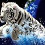 @pritamraya5295