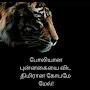 @user-anandi_21