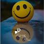 @shoyaiburrahman2198