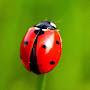 @LadyBug-hm1qk