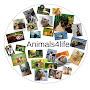 @Animals4life-02