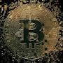@bitcoincash4101