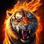 @TigerisRadiowyPLFR