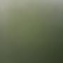 @둥이짱-q9h