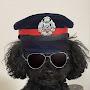 @警察犬-f7i
