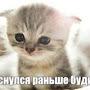 @ninasemenko8652