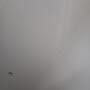 @Baogiaaaa