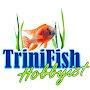 @TriniFishHobbyist