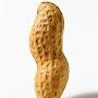 @ThePeanut...