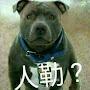 @綸-e6t