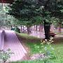 @nikochanturia8977