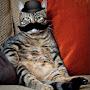 @srgatosentado252