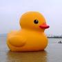 mr_duck