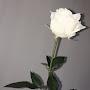 @marvi_111