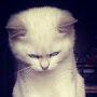 @jhm-q8c